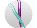 اپلیکاتور